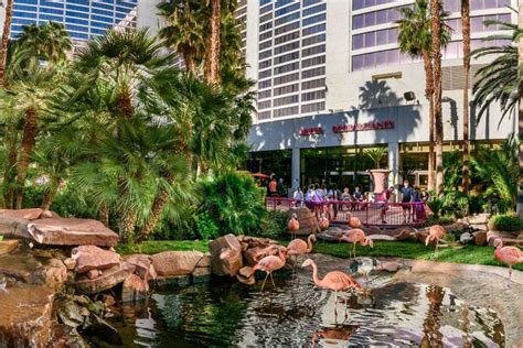 Top 10 hotels in las vegas strip These are the best hotel gyms in Las Vegas: Resorts World Las Vegas